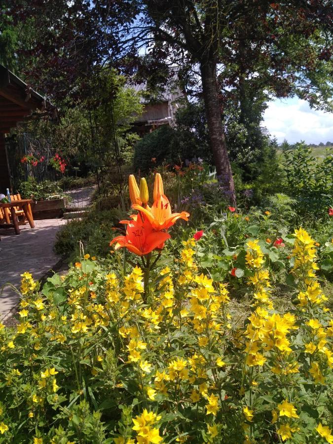Chalet Le Paradou Adults Only Lessive Екстер'єр фото